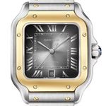 Cartier Santos W2SA0030 (2026) - Grey dial 39 mm Gold/Steel case (1/1)
