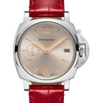 Panerai Luminor Due PAM01550 (2026) - Onbekend wijzerplaat 38mm Staal (1/1)