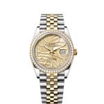 Rolex Datejust 36 126283RBR (2023) - Goud wijzerplaat 36mm Staal (1/1)