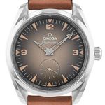Omega Seamaster Railmaster 235.12.38.20.13.001 (2025) - Brown dial 38 mm Steel case (1/1)