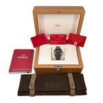 Omega Seamaster Diver 300 M 210.90.42.20.01.001 - (5/5)