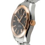 Omega Seamaster Aqua Terra 231.20.39.21.06.003 - (5/8)