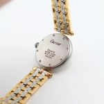 Cartier Panthère 166920 - (7/8)