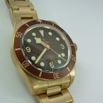 Tudor Black Bay - (2022) - Brown dial 39 mm Bronze case (3/8)