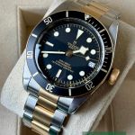 Tudor Black Bay S&G 79733N - (3/7)