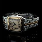 Cartier Panthère 187949 - (5/8)