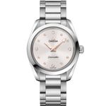 Omega Seamaster Aqua Terra 220.10.28.60.54.001 - (1/1)