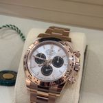 Rolex Daytona 126505   sundust - (3/8)