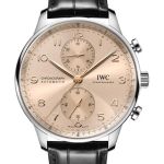 IWC Portuguese Chronograph IW371624 (2026) - Grey dial 41 mm Steel case (1/1)