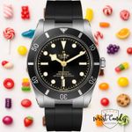 Tudor Black Bay 54 79000N - (1/8)