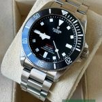 Tudor Pelagos 25407N (2023) - 39mm Titanium (3/7)
