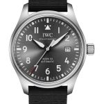 IWC Pilot Mark IW328209 (2026) - Grey dial 40 mm Titanium case (1/1)