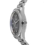 Omega Seamaster Railmaster 235.10.38.20.06.001 (2025) - Grey dial 38 mm Steel case (4/7)