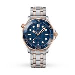 Omega Seamaster Diver 300 M 210.20.42.20.03.002 (2026) - Blue dial 42 mm Steel case (1/1)