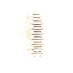 Rolex Day-Date 40 228235 (2026) - 40mm Roségoud (4/6)