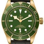 Tudor Black Bay Fifty-Eight 79018V (2026) - Bruin wijzerplaat 39mm Geelgoud (1/1)