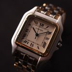 Cartier Panthère 187957 - (5/6)