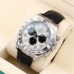 Rolex Daytona 116519 (Unknown (random serial)) - 40 mm White Gold case (1/5)