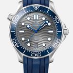 Omega Seamaster Diver 300 M 210.32.42.20.06.001 (2026) - Grijs wijzerplaat 42mm Staal (1/1)