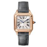 Cartier Santos Dumont WGSA0117 - (1/1)