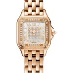 Cartier Panthère WJPN0077 (2026) - Silver dial 22 mm Rose Gold case (1/1)