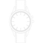 Omega Seamaster Railmaster 235.10.38.20.13.001 - (1/1)