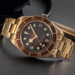 Tudor Black Bay Bronze 79012M (Unknown (random serial)) - Brown dial 39 mm Bronze case (2/8)