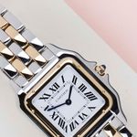 Cartier Panthère W2PN0019 - (3/8)