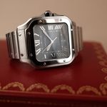 Cartier Santos WSSA0030 - (2/8)