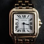 Cartier Panthère WGPN0051 - (6/8)