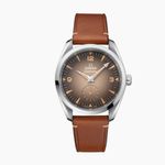 Omega Seamaster Railmaster 235.12.38.20.13.001 - (1/5)