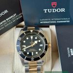 Tudor Black Bay S&G 79733N - (7/7)