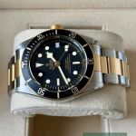 Tudor Black Bay S&G 79733N - (5/7)