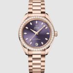 Omega Seamaster Aqua Terra 220.55.34.20.60.001 - (1/1)