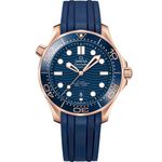 Omega Seamaster Diver 300 M 210.62.42.20.03.001 - (1/1)