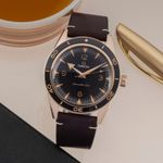 Omega Seamaster 300 234.92.41.21.10.001 (Unknown (random serial)) - Brown dial 41 mm Rose Gold case (1/8)