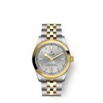 Tudor Black Bay S&G 79603 - (1/1)