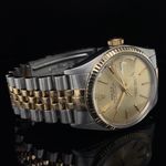 Rolex Datejust 36 16013 - (3/8)