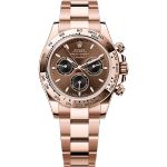 Rolex Daytona 126505 (2025) - Brown dial 40 mm Rose Gold case (1/1)