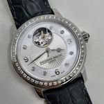 Frederique Constant Ladies Automatic FC-310HBAD2PD6 (2025) - Zilver wijzerplaat Onbekend Staal (2/8)