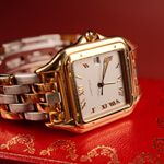 Cartier Panthère 1060 (Unknown (random serial)) - Silver dial 27 mm Yellow Gold case (7/8)