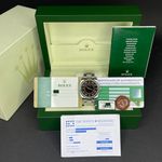 Rolex Oyster Perpetual 36 116034 - (3/8)