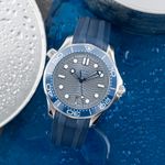 Omega Seamaster Diver 300 M 210.32.42.20.06.001 (Unknown (random serial)) - Grey dial 42 mm Steel case (1/8)