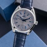 Omega Seamaster Aqua Terra 220.13.41.21.06.001 (Unknown (random serial)) - Grey dial 41 mm Steel case (3/8)