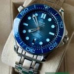 Omega Seamaster Diver 300 M 210.30.42.20.03.003 - (3/7)