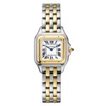 Cartier Panthère W2PN0013 (2025) - Silver dial 30 mm Gold/Steel case (1/1)