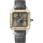 Cartier Santos Dumont W2SA0036 (2025) - Grey dial 44 mm Steel case (1/1)