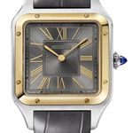 Cartier Santos Dumont W2SA0036 (2026) - Grey dial 44 mm Steel case (1/1)