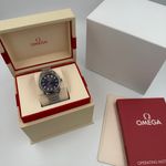 Omega Seamaster Aqua Terra 220.10.34.20.10.002 (2023) - Purple dial 34 mm Steel case (2/8)