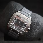 Cartier Santos WSSA0039 - (5/8)